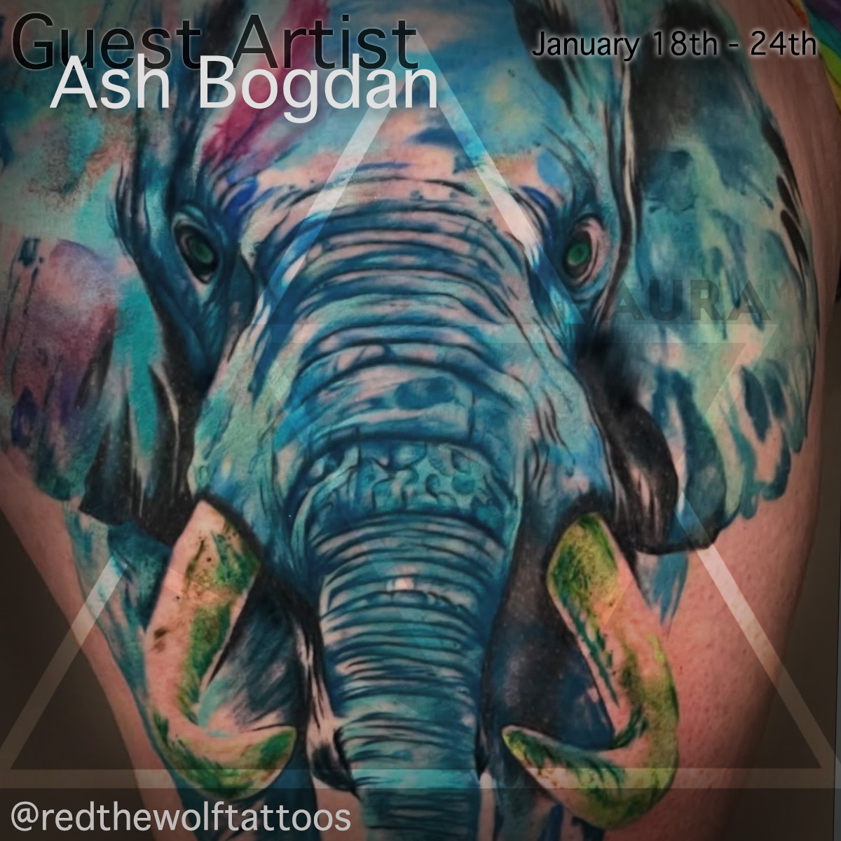 Ash Bogdan
